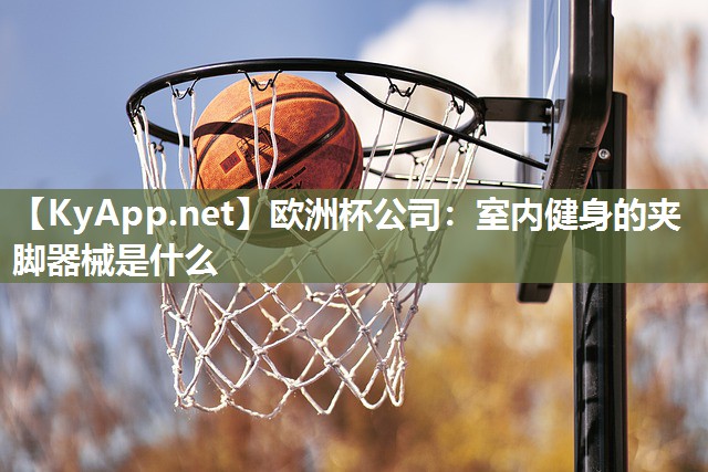 欧洲杯公司：室内健身的夹脚器械是什么