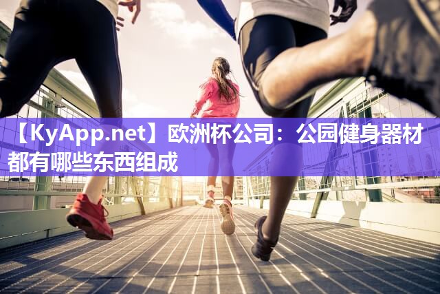 欧洲杯公司：公园健身器材都有哪些东西组成