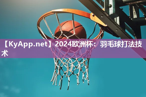 2024欧洲杯：羽毛球打法技术