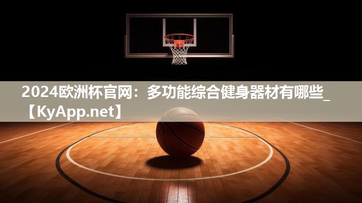 2024欧洲杯官网：多功能综合健身器材有哪些_