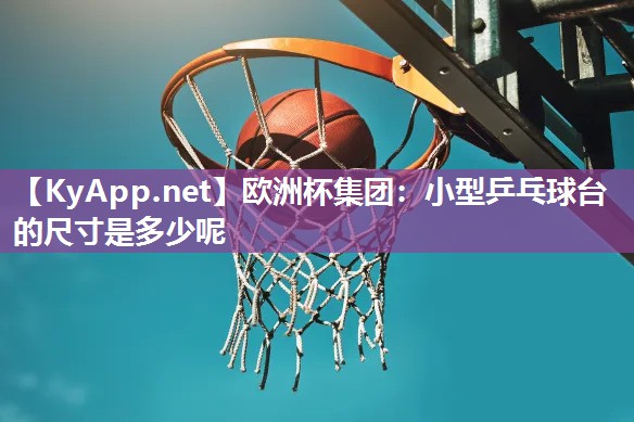 小型乒乓球台的尺寸是多少呢