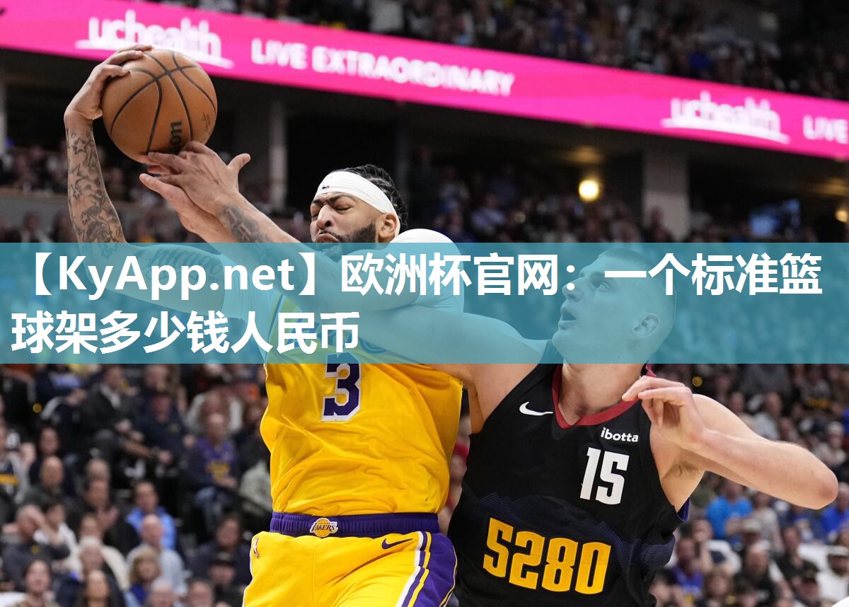 一个标准篮球架多少钱人民币